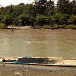 Batu Bara Bawaan Banjir Jadi Polemik, Wagub Mian dan Kapolda Bengkulu Turun Tangan