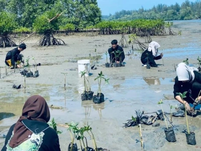 GPA Gendong Adventure Tanam Mangrove di Muara Jenggalu, Wujud Nyata Hadapi Krisis Iklim