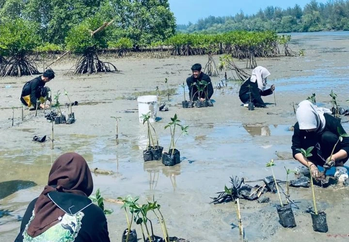 GPA Gendong Adventure Tanam Mangrove di Muara Jenggalu, Wujud Nyata Hadapi Krisis Iklim