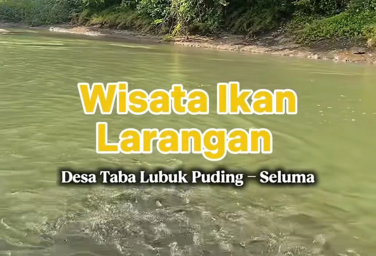Festival Mancing Ikan Larangan: Erwin Octavian Menyemai, Teddy Rahman Memanen